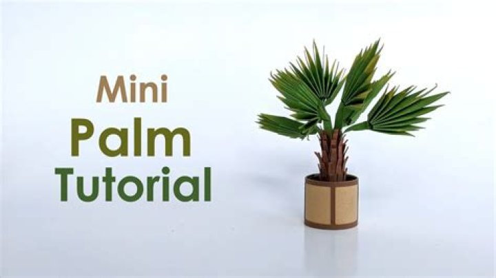 How do you take care of a miniature palm tree