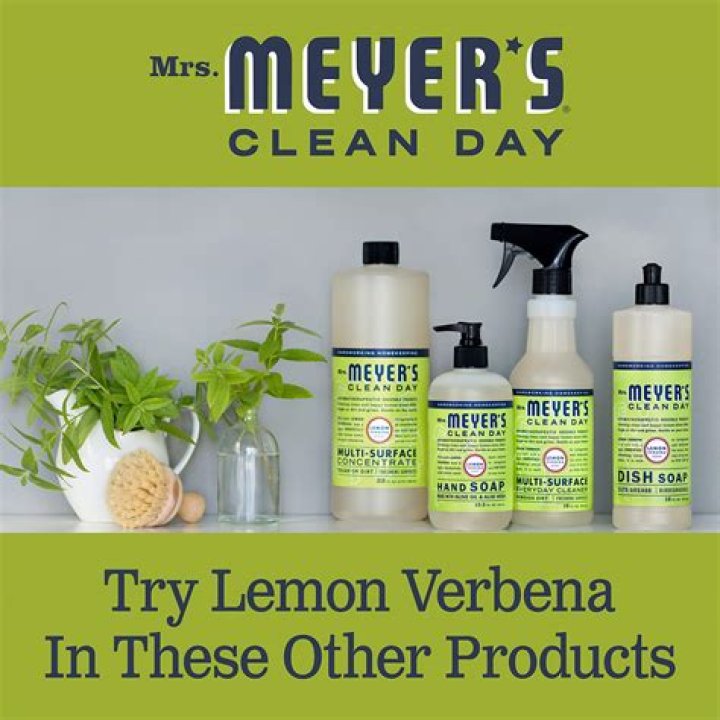 How do you use Meyers Clean Day
