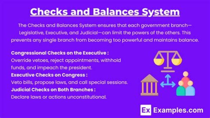 How does checks and balances limit the power of government