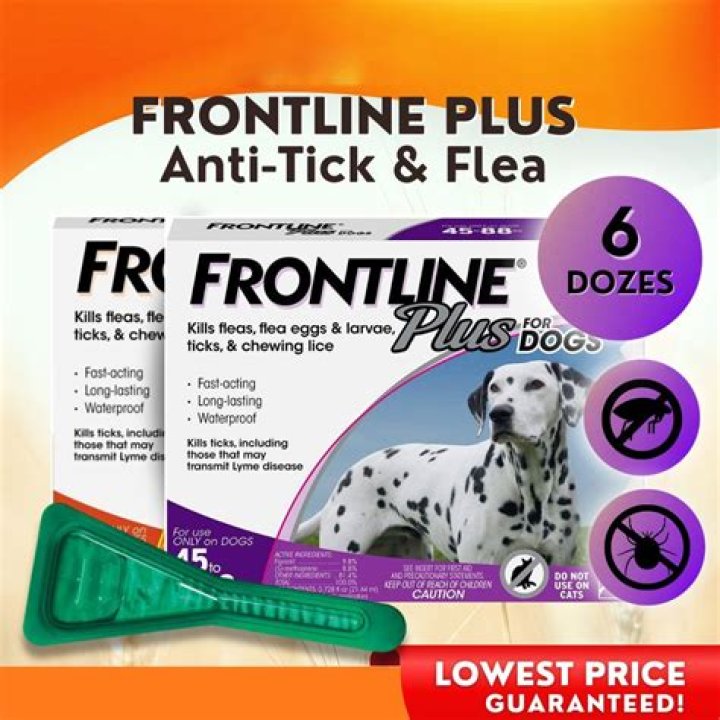 How effective is Frontline Plus