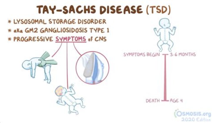 How is Tay Sachs disease passed on