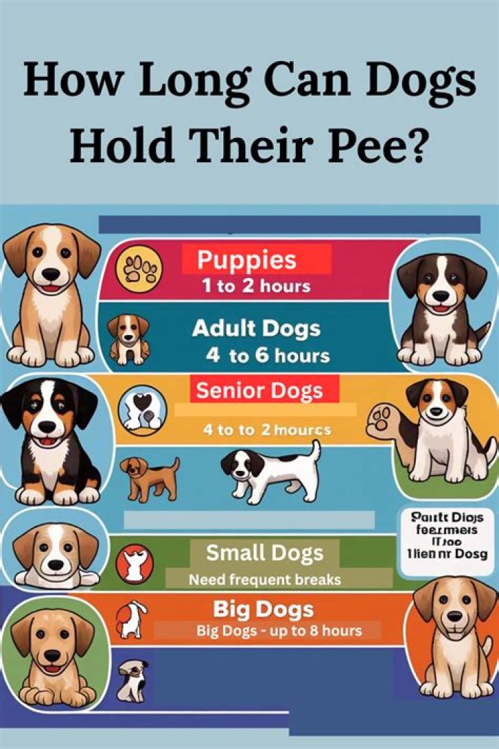 How Long Can My Dog Live With Ascites