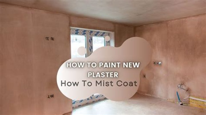 How long does base coat plaster take to dry
