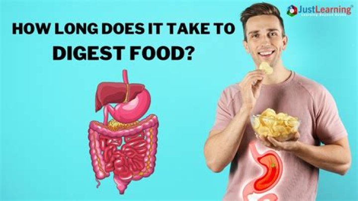 How Long Does It Take For Your Appetite To Shrink