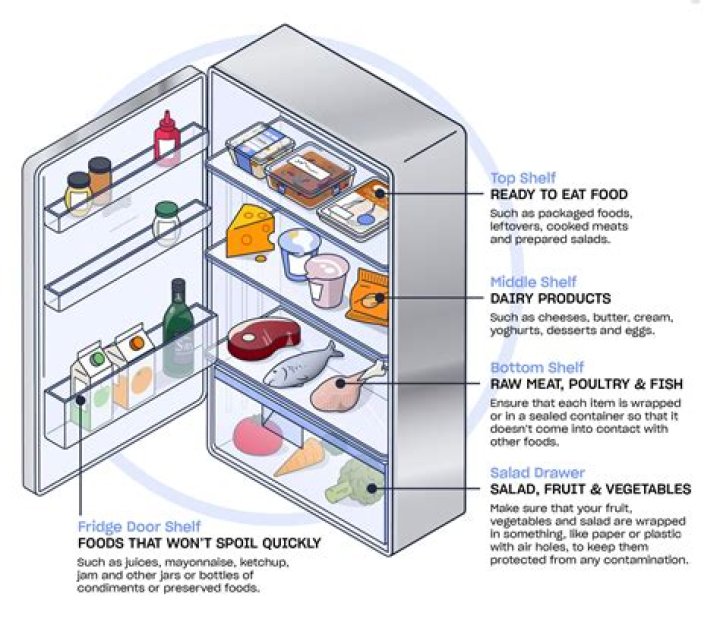 How long until you can put food in a new fridge?