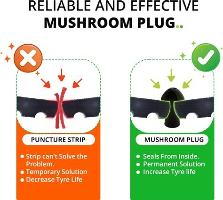 How long will mushroom plugs last