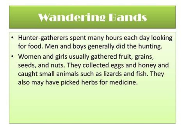How many hours a day did hunter gatherers work