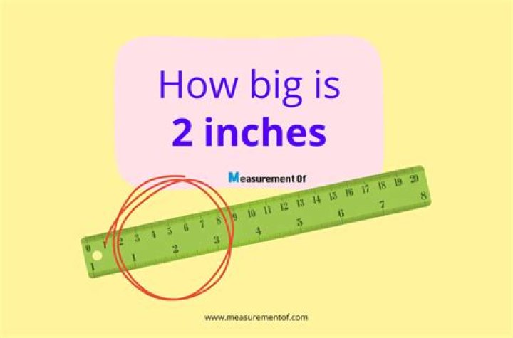 How Many Inches Is A Size 16