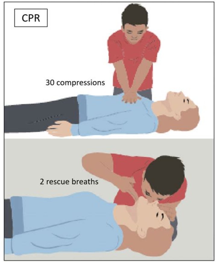 How many rescue breaths per minute should a child with Pulse