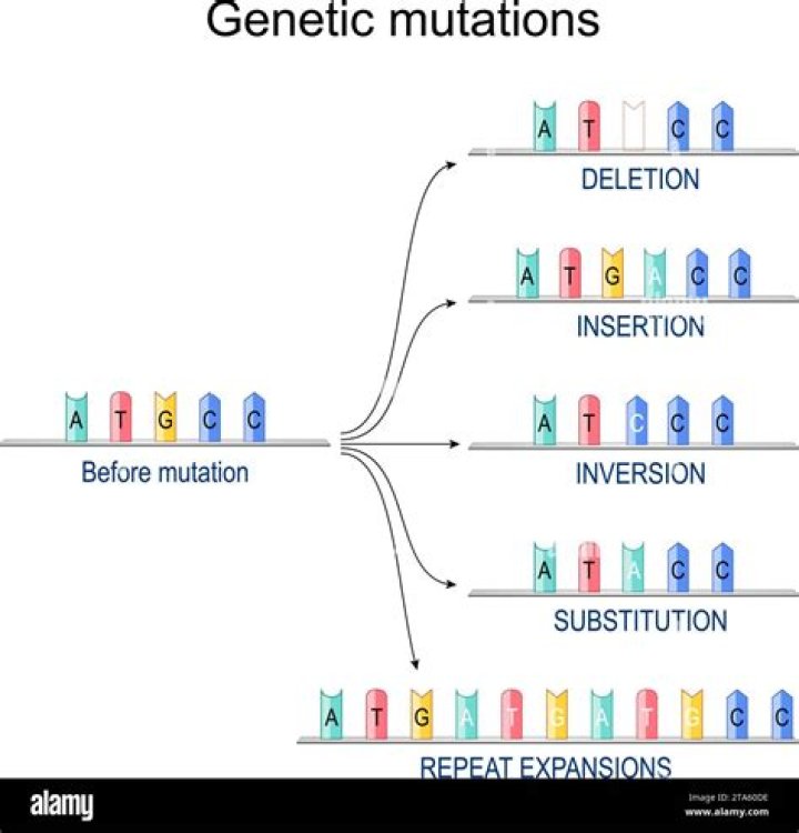 How might a biologist determine what type of mutation it is
