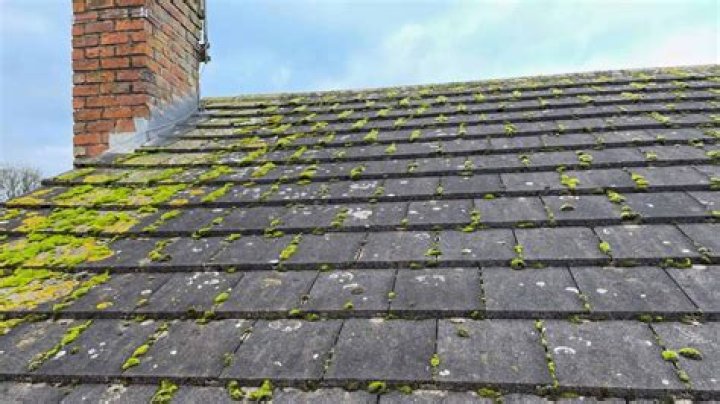 How much does roof cleaning Cost?