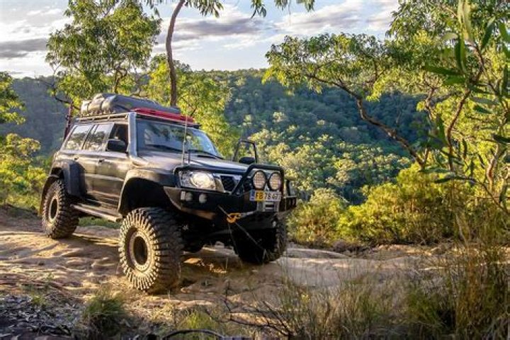 How much does theft patrol cost