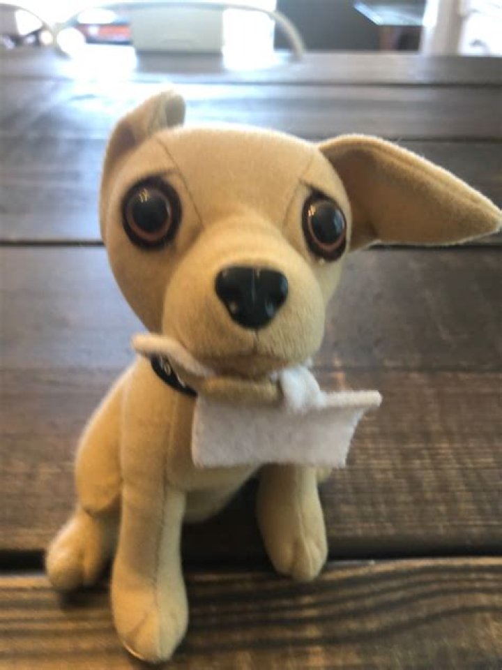 How Much Is The Taco Bell Stuffed Dog Worth
