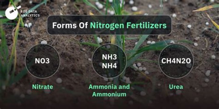 How much nitrogen is in an acre of corn
