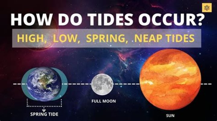 How often do low tides occur