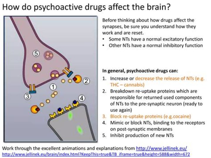 How psychoactive drugs influence the central nervous system