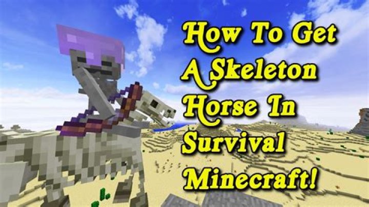 How To Spawn A Skeleton Riding A Skeleton Horse