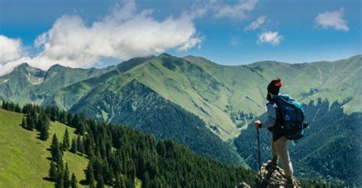 How to travel for free