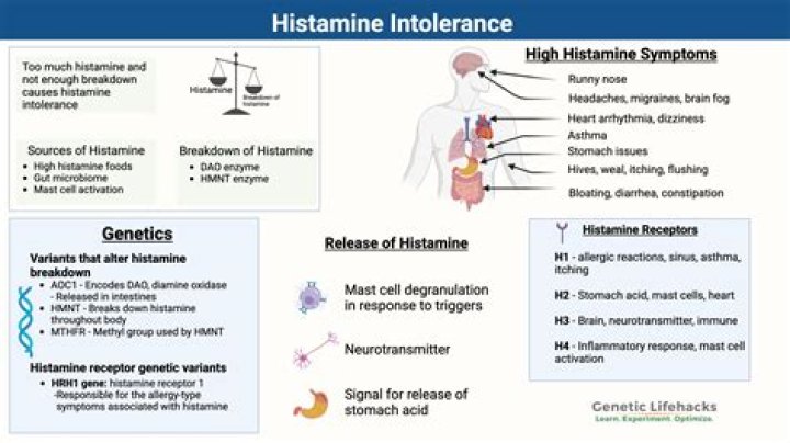 Is Citrus high in histamine