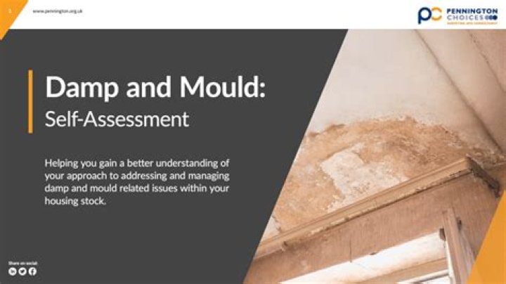 Is damp Mould dangerous
