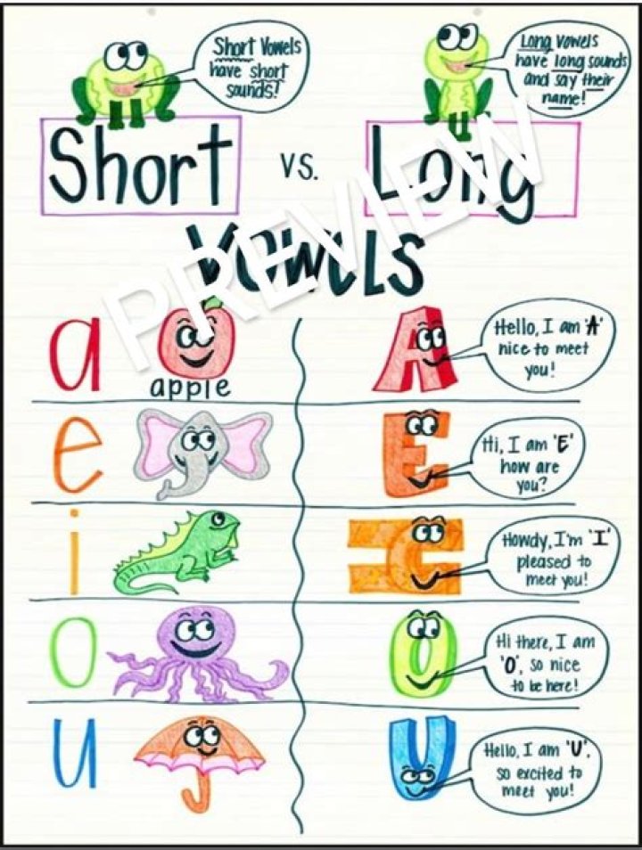Is Dog A Long Or Short Vowel