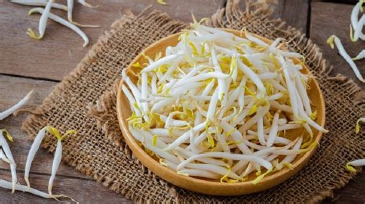 Is it OK to freeze bean sprouts