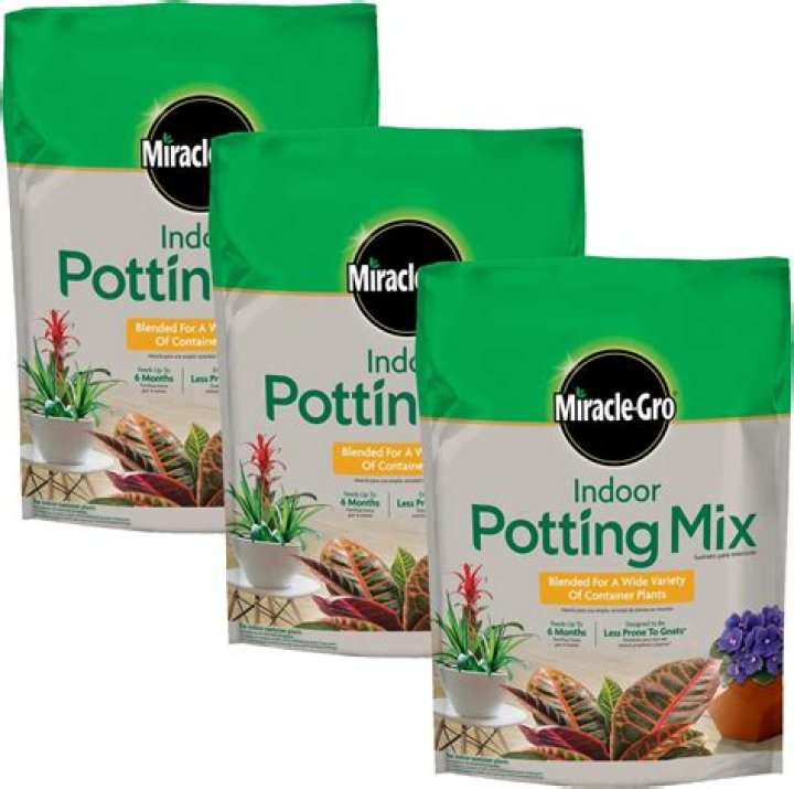 Is Miracle Gro indoor potting mix good for succulents