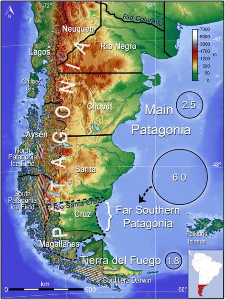 Is Patagonia ever on sale