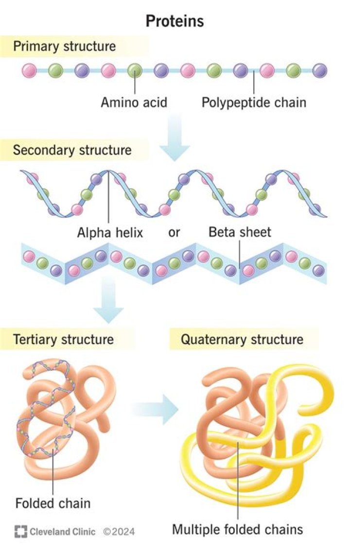 Is RNA made of proteins