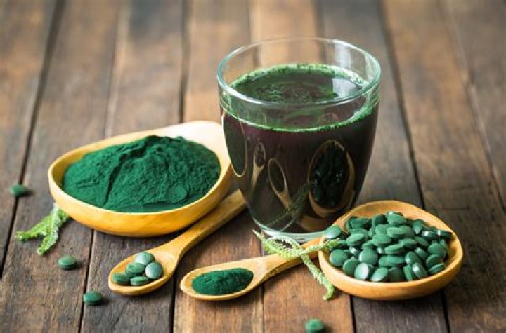 Is spirulina a neurotoxin