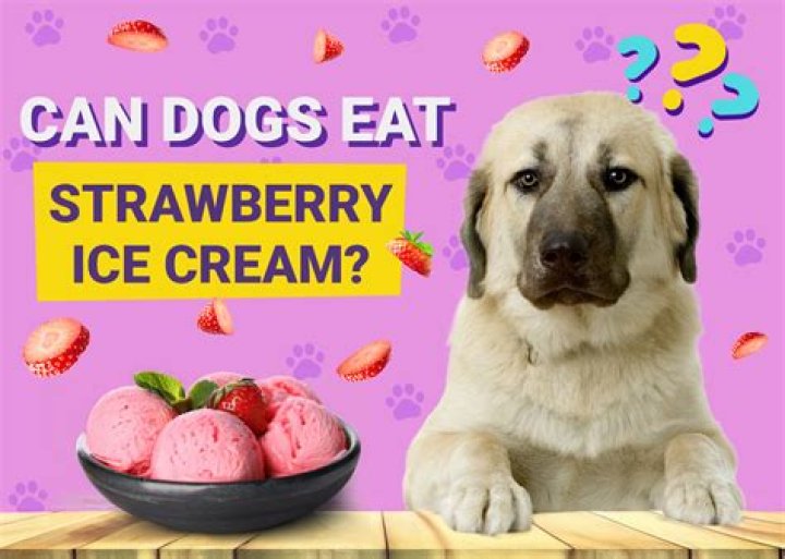Is Strawberry Ice Cream Bad For Dogs