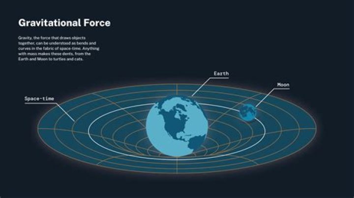 Is the gravitational force the same for all objects