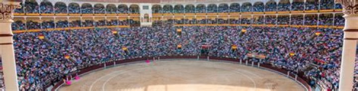 Is there still bullfighting in Madrid