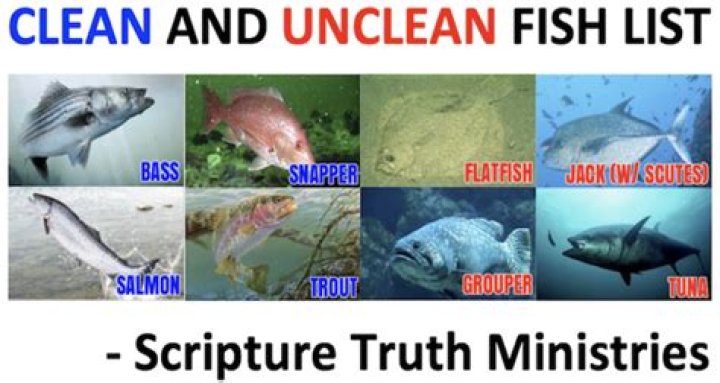 Is tuna fish clean or unclean