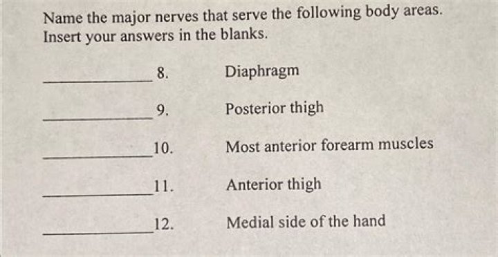 Name The Major Nerves That Serve The Following Body Areas