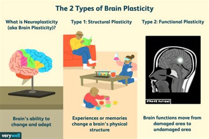 Plasticity - How To Discuss
