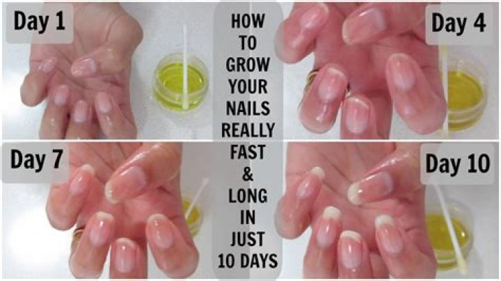 Question: How Fast Does A Fingernail Grow