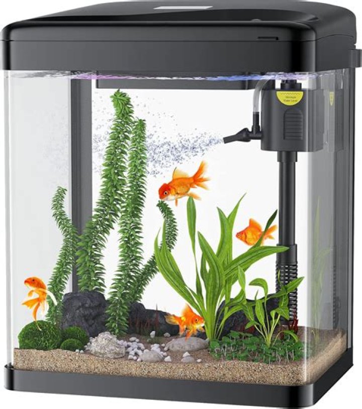 Question: How Much Did The Bellagio Fish Tank Cost