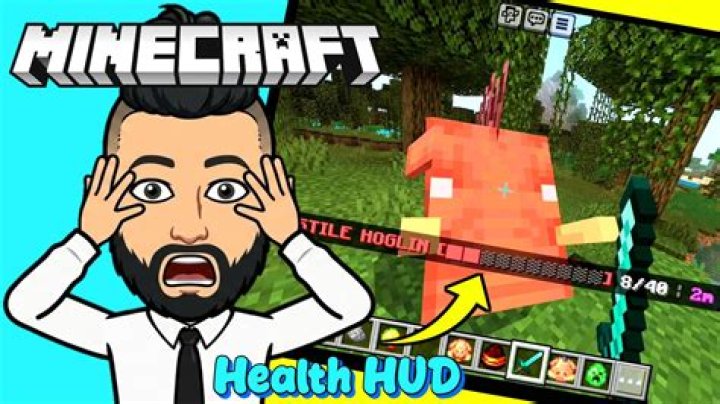 Question: How Much Health Do Guardians Have Minecraft