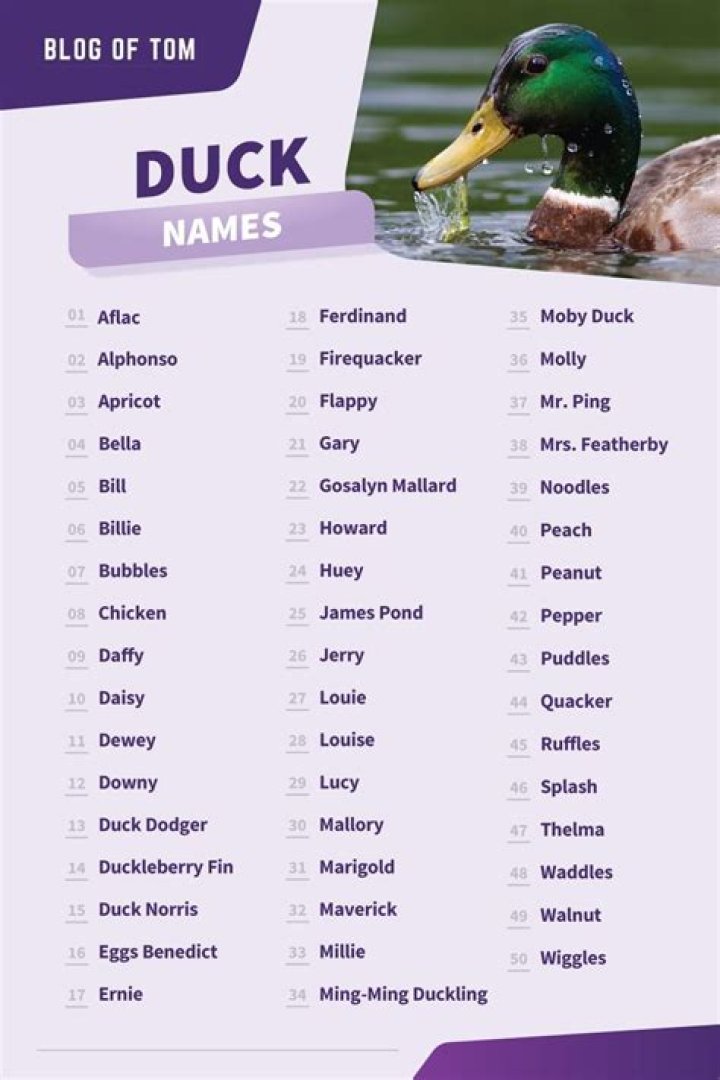 Question: Is Luna A Good Name For A Dog