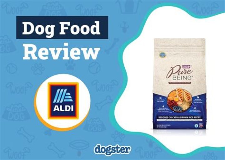 Question: Is Wholesome Dog Food Good For My Dogs