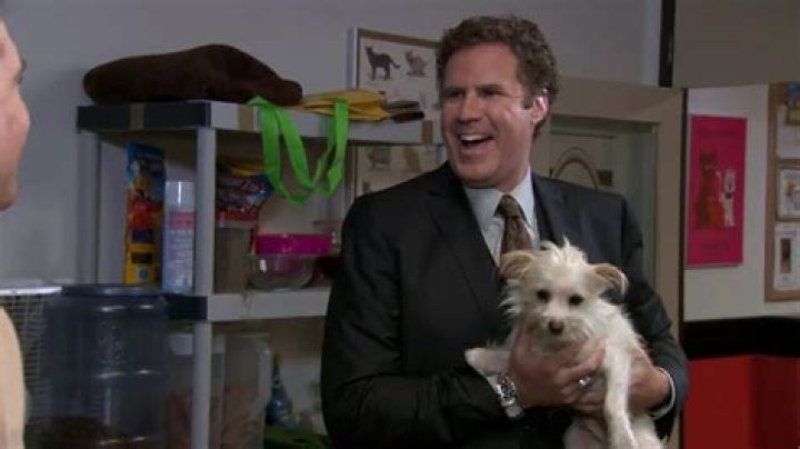 Question: Will Ferrell The Office Gimme That Dog