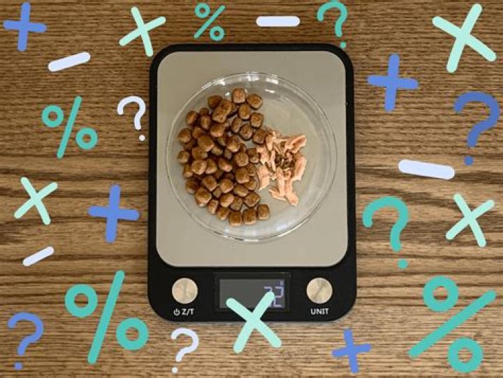 Quick Answer: Can I Feed My Cat Regular Fish Broth