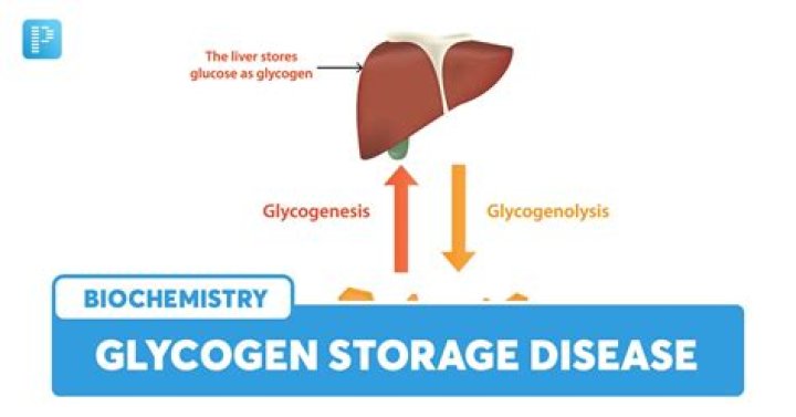 Quick Answer: How Long To Deplete Glycogen Stores