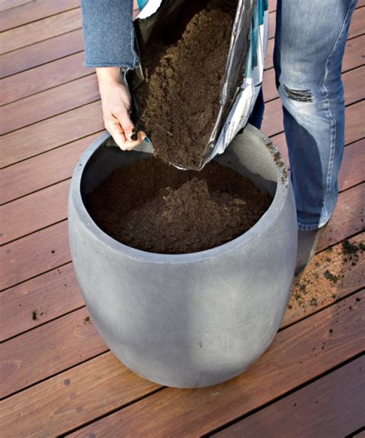 Should you put stones in the bottom of a planter