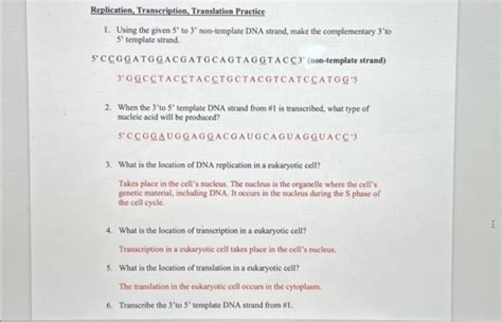 Translation - How To Discuss