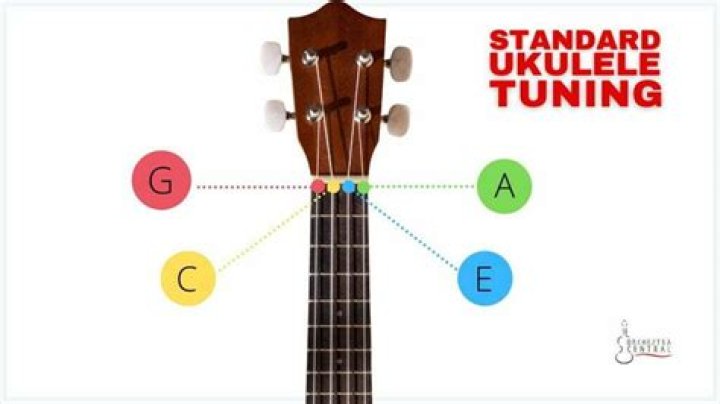 Ukulele chords tuning - How To Discuss