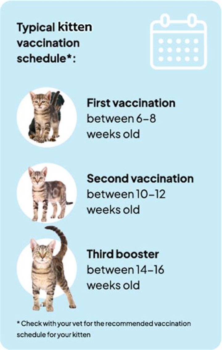 What age do kittens get distemper shots