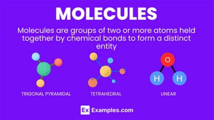 What are CD molecules