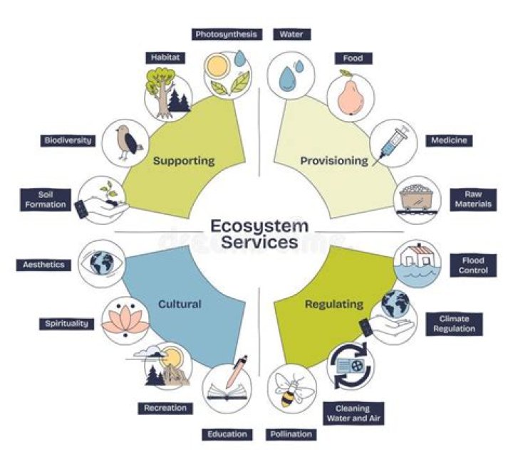 What are cultural ecosystem services